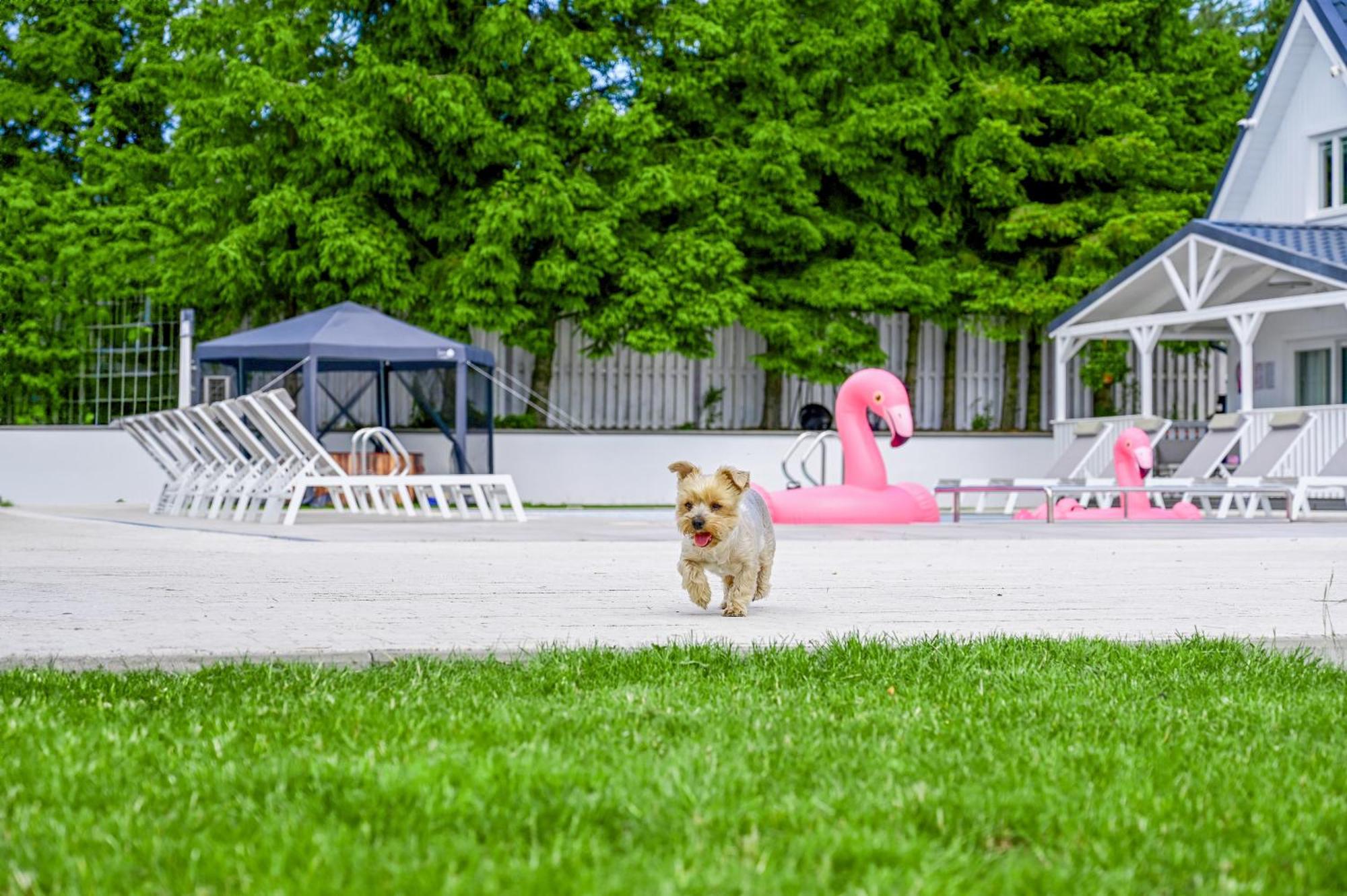 Resort Golf Kołczewo Exterior foto